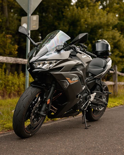 Sleek black Kawasaki Ninja motorcycle parked by a scenic roadside.